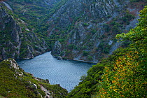 Narcea river, Calabazos Reservoir, Asturias, northern Spain, November 2009