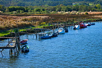 Boats tied to wooden staging on the Nalon river, Muros, Asturias, Northern Spain, November 2009