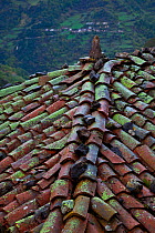 Roof tiles, Morteras village, Somiedo NP, Asturias, Northern Spain, November 2009