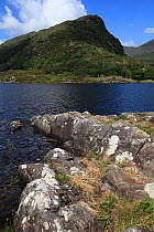 View across Upper Lake to Oakwood on the lower slopes of Glena, Killarney National Park, County Kerry, Republic of Ireland, EuropeJuly 2009