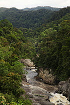 Rainforest at 1,200 meters beside the Namorona River, Ranomafana National Park, Madagascar January 2009