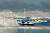 Antarctic charter vessel, Golden Fleece, with BBC film crew aboard. Antarctica, February 2009