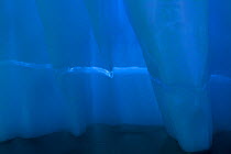 Iceberg detail, Antarctica, February