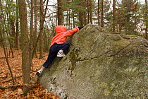 Young boy (four years) climbing a rock in the woods, Lexington, Massachusetts, USA. December 2004, Model released