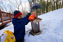 Boy (five years) filling a garden bird feeder in the winter, Lexington, Massachusetts, USA. December 2005, Model released
