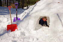 Boy (five years) playing in snow fort / cave in garden in winter, Lexington, Massachusetts, USA. December 2005, Model released