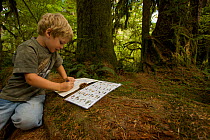 Boy (5 years) working on activity sheet in Olympic National Park, Washington, USA, August 2005, Model released