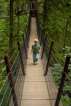Boy (five years) running along canopy walkway through temperate rainforest, Capilano Park, Vancouver, British Columbia, Canada, August 2005, Model released