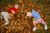 Brother and sister playing in pile of fallen leaves, Lexington, Massachusetts, USA, November 2005, Model released