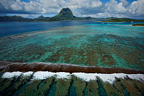 Coastal view and fringing coral reef, Bora Bora Island, Society Islands, French Polynesia. July 2006