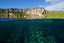 Split level view of Coral reef in shallow water, Makatea Island (an uplifted limestone island). Tuamotu Islands, French Polynesia. July 2006