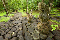 Stone walls and other features at a ancient Polynesian archaelogical site in Hatiheu Valley, Nuku Hiva, Marquesas Islands, French Polynesia, July 2006