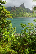 View of Hatiheu bay and surrounding peaks, Nuku Hiva, Marquesas Islands, French Polynesia, July 2006