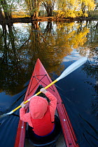 A boy kayaking on the Concord River in autumn, Massachusetts, USA, October 2006, model released