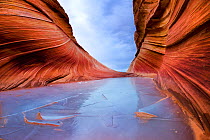 Rare winter ice accents the entrance to Arizona's famous sandstone Wave formation, Coyote Buttes region of the Vermilion Cliffs. Arizona, USA, December 2007.