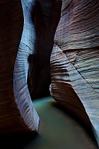 A dark passageway of a narrow flooded slot canyon, Zion National Park, Utah, USA. November 2009.