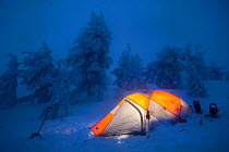 Twilight descends on photographer's mountain camp with light inside tent,  in Oregons highest mountain forest on Drake Peak at 8,500 feet. Oregon, USA, January 2010.