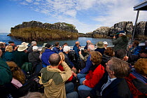 Tourists watching and photographing Common Guilemot (Uria aalge) colony from boat, Staple Islands, Farne Islands, Northumberland, UK, June 2008
