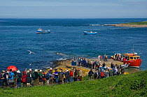 Tourists visiting the Farne Islands, Northumberland, UK to see the colonies of nesting seabirds, June 2008