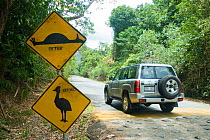 Cassowary warning road sign in Daintree National Park, Queensland, Australia, November 2006