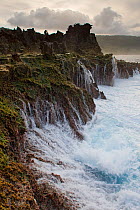 Waves crashing against Christmas Island South Coast, Christmas Island National Park, Christmas Island, Indian Ocean, Australian Territory, November 2009.
