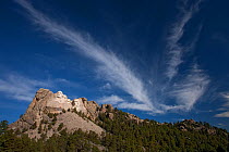 View of Mount Rushmore National Memorial, against a blue sky, and Pine forest beyond. South Dakota, USA, September 2009