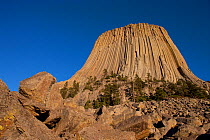 Devil's Tower National Monument, from low angle, showing famous basalt tower. This is a sacred site for Native Americans, Wyoming, USA