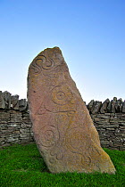 The 'Serpent stone', a carved Pictish stone at Aberlemno, Scotland May 2010