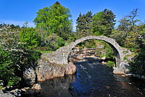 Pack Horse Funeral bridge over the river Dulnain, the oldest stone bridge in the Highlands at Carrbridge, Scotland, May 2010