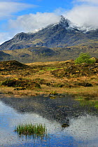 Bog and the Black Cuillin Hills viewed from Sligachan on the Island of Skye, Inner Hebrides, Scotland, May 2010