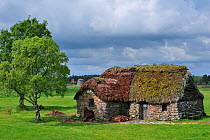 Old Leanach cottage, the original farmhouse at the Culloden battlefield, Scotland, UK, May 2010
