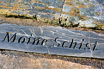 'Moine schist' rock fragment, part of the Knockan Puzzle at the Knockan Crag National Nature Reserve, Highlands, Scotland, May 2010