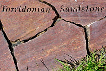Torridonian sandstone rock fragment, part of the Knockan Puzzle at the Knockan Crag National Nature Reserve, Highlands, Scotland, May 2010