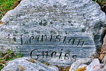 'Lewisian gneiss' rock fragment, part of the Knockan Puzzle at the Knockan Crag National Nature Reserve, Highlands, Scotland, May 2010