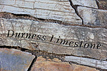 'Durness limestone' rock fragment, part of the Knockan Puzzle at the Knockan Crag National Nature Reserve, Highlands, Scotland, May 2010