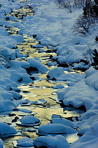 Arazas river in winter, Ordesa Valley, Ordesa National Park, Pyrenees, Huesca, Aragón, Spain, March 2010