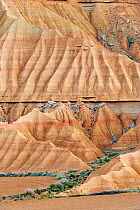 Rock formations (clay, gypsum and sandstone) in the Bardenas Reales Desert Natural Park, Navarra, Northern Spain, April 2010