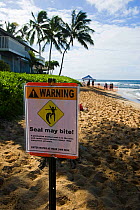 "Seal may bite"  warning sign for Hawaiian monk seals (Monachus schauinslandi) on beach,  Kauai, Hawaii.