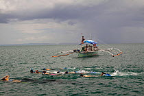 Snorkelers following Whale shark (Rhiniodon typus) Donsol, Philippines.