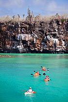 Group of kayakers exploring the waters off Santa Cruz Island, Galapagos Archipelago, Ecuador. Model Released.