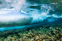 Surf crashing on the reef in Tubbataha National Park, Philippines.