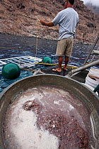 Chum barrel used as bait on Great White Shark expedition on "Solmar V", off Guadalupe Island, Mexico.