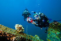 Divers with digital still and video cameras exploring a large wreck, Palau, Micronesia. Model released.
