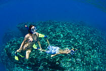 Couple free diving off the island of Lanai, Hawaii. Model released.
