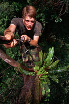Selfportrait of biologist / photographer Tim Laman climbing a rope into the rainforest canopy, Gunung Palung National Park, Borneo, West Kalimantan, Indonesia. Model released. 1995.