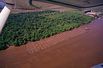 Aerial view of large raft of logs wait next to a saw mill in the Kapuas River in West Kalimantan, Indonesia, Borneo. 1995.