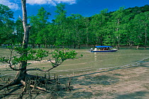 Tourists arrive by boat to the mangrove forests of Bako National Park, Sarawak, Malaysia, Borneo