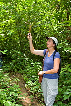 Conservation biologist and founder of the Proyecto Titi conservation programme Anne Savage radio tracking Cotton-top tamarins (Saguinus oedipus) in dry tropical forest of Colombia, South America IUCN...