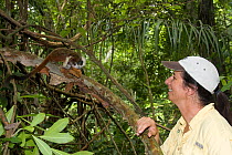 Conservation biologist and founder of the Proyecto Titi conservation programme Anne Savage observes a Cotton-top tamarin (Saguinus oedipus) in dry tropical forest of Colombia, South America IUCN List:...