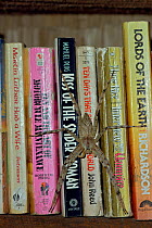 Huntsman spider (Sparassidae) resting on paperback books including "Kiss of the Spider Woman" on a shelf at the rainforest reseearch station in Gunung Palung National Park, Borneo, West Kalimantan, In...